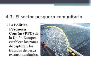 4.3. El sector pesquero comunitario
• La Política
  Pesquera
  Común (PPC) de
  la Unión Europea
  establece las zonas
  de captura y los
  tratados de pesca
  extracomunitarios.
 