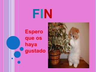 FIN
Espero
que os
haya
gustado

 