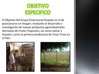 El Objetivo del Grupo Empresarial Grajales es el de
posicionarse en Imagen, mediante el desarrollo e
investigación de nuevos productos agroindustriales
derivados de Frutos Tropicales, así como ubicar a
Grajales, como la primera productora de Vinos Finos en
el País.
 