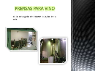 Es la encargada de separar la pulpa de la
uva.
 