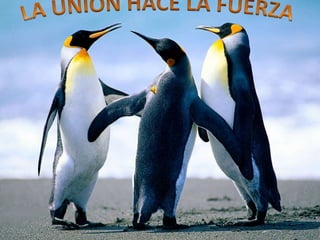 La union hace la fuerrza   titas