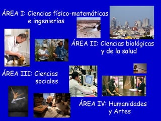 ÁREA I: Ciencias físico-matemáticas
e ingenierías
ÁREA II: Ciencias biológicas
y de la salud
ÁREA III: Ciencias
sociales
ÁREA IV: Humanidades
y Artes
 