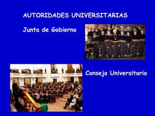AUTORIDADES UNIVERSITARIAS
Junta de Gobierno
Consejo Universitario
 