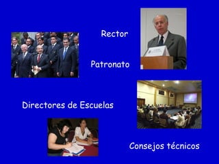 Rector
Patronato
Directores de Escuelas
Consejos técnicos
 