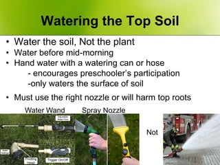 Watering the Top Soil
• Water the soil, Not the plant
• Water before mid-morning
• Hand water with a watering can or hose
...