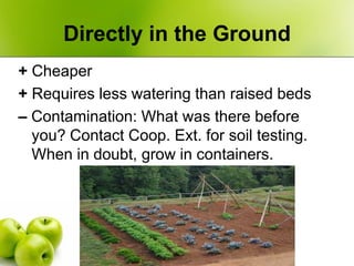 Directly in the Ground
+ Cheaper
+ Requires less watering than raised beds
– Contamination: What was there before
  you? C...
