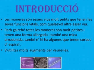 INTRODUCCIÓ
• Les moneres són éssers vius molt petits que tenen les
  seves funcions vitals, com qualsevol altre ésser viu.
• Però gairebé totes les moneres són molt petites i
  tenen una forma allargada i també una mica
  arrodonida, també n’ hi ha algunes que tenen corbes
  d’ espiral .
• S’utilitza molts augments per veure-les.
 