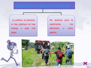 La política, la pobreza,
si hay pobreza no hay
trabajo o esta mal
pago.
No alcanza para la
vestimenta, los
alimentos y otros
gastos.
Causas de la migración temporaria
 