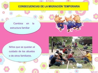 Cambios en la
estructura familiar
Niños que se quedan al
cuidado de los abuelos
o de otros familiares.
 
