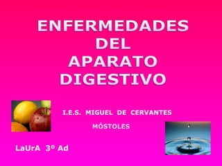 I.E.S.  MIGUEL  DE  CERVANTES MÓSTOLES LaUrA  3º Ad 