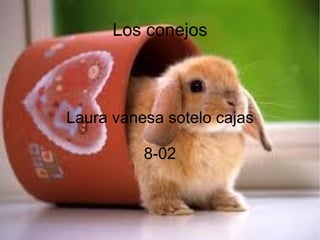 Los conejos Laura vanesa sotelo cajas 8-02 