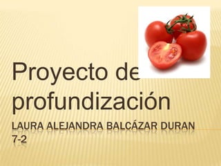 Proyecto de
profundización
LAURA ALEJANDRA BALCÁZAR DURAN
7-2
 