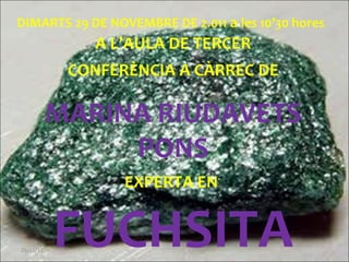 29/11/11 DIMARTS 29 DE NOVEMBRE DE 2.011  a  les 10’30 hores   A L’AULA DE TERCER CONFERÈNCIA A CÀRREC DE MARINA RIUDAVETS...