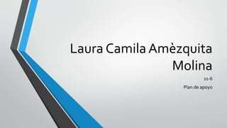 Laura Camila Amèzquita
Molina
11-6
Plan de apoyo
 