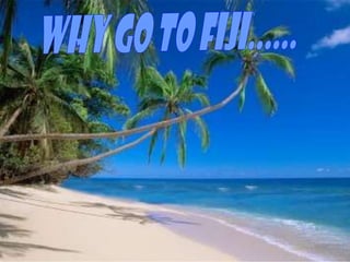 Why go to Fiji...... 