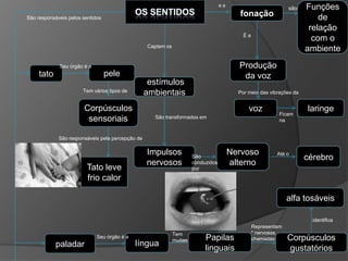 e a
fonação
Funções
de
relação
com o
ambiente
estímulos
ambientais
Impulsos
nervosos
cérebro
tato
Corpúsculos
sensoriais
Tato leve
frio calor
Nervoso
alterno
paladar língua
Papilas
linguais
Corpúsculos
gustatórios
alfa tosáveis
Produção
da voz
voz laringe
pele
são
É a
Por meio das vibrações da
Ficam
na
São responsáveis pelos sentidos
Seu órgão é a
Tem vários tipos de
São responsáveis pela percepção de
Captam os
São transformados em
São
conduzidos
por
Até o
Seu órgão é a
Tem
muitas
Representam
* nervosas
chamadas
identifica
 