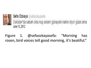 Figure 1. @sefaozkayasefa: “Morning has
rosen, bird voices tell good morning, it’s beatiful.”
 