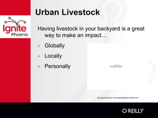 Urban Livestock
Having livestock in your backyard is a great
way to make an impact…
๏ Globally
๏ Locally
๏ Personally QuickTime™ and a
TIFF (Uncompressed) decompressor
are needed to see this picture.
http://gardenplotter.com/rospo/blog/labels/rabbits.html
 