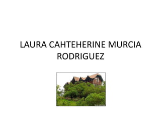 LAURA CAHTEHERINE MURCIA RODRIGUEZ 