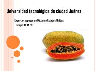 Universidad tecnológica de ciudad Juárez
    Exportar papayas de México a Estados Unidos.
      Grupo: OCM 28
 
