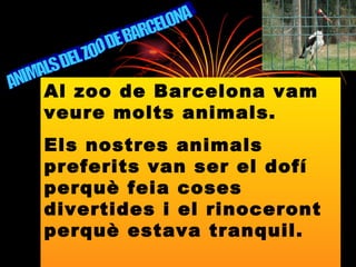 ANIMALS DEL ZOO DE BARCELONA Al zoo de Barcelona vam veure molts animals. Els nostres animals preferits van ser el dofí perquè feia coses divertides i el rinoceront perquè estava tranquil. 