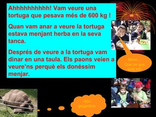 Ahhhhhhhhhh! Vam veure una tortuga que pesava més de 600 kg ! Quan vam anar a veure la tortuga estava menjant herba en la seva tanca. Després de veure a la tortuga vam dinar en una taula. Els paons veien a veure’ns perquè els donéssim menjar. Sóc gegantina. Mmm... Que bo que està tot! 