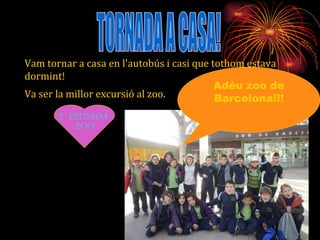 TORNADA A CASA! Vam tornar a casa en l'autobús i casi que tothom estava dormint! Va ser la millor excursió al zoo.   Adéu zoo de Barcelona!!! T’ estimem  zoo 