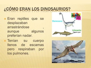 ¿CÓMO ERAN LOS DINOSAURIOS?
 Eran reptiles que se
desplazaban
arrastrándose ,
aunque algunos
preferían nadar.
 Tenían su cuerpo
llenos de escamas
pero respiraban por
los pulmones.
 