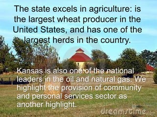 The state excels in agriculture: is
the largest wheat producer in the
United States, and has one of the
largest herds in the country.
Kansas is also one of the national
leaders in the oil and natural gas. We
highlight the provision of community
and personal services sector as
another highlight.
 