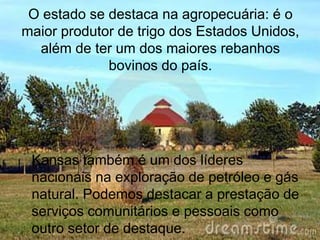 O estado se destaca na agropecuária: é o
maior produtor de trigo dos Estados Unidos,
além de ter um dos maiores rebanhos
bovinos do país.
Kansas também é um dos líderes
nacionais na exploração de petróleo e gás
natural. Podemos destacar a prestação de
serviços comunitários e pessoais como
outro setor de destaque.
 