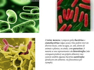 O  reino monera  é composto pelas  bactérias  e  cianobactérias  (algas azuis). Elas podem viver em diversos locais, como na água, ar, solo, dentro de animais e plantas, ou ainda, como  parasitas  A maioria se seus representantes são  heterótrofos  (não conseguem produzir seu próprio alimento), mas existem também algumas bactérias  autótrofas  (produzem sem alimento, via fotossíntese por exemplo).  