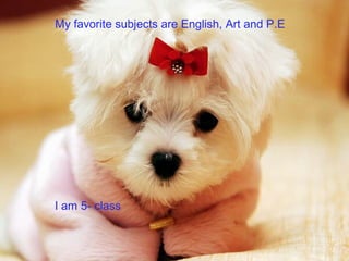 I am 5- class
My favorite subjects are English, Art and P.E
 