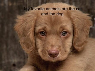 My favorite animals are the cat
and the dog
 