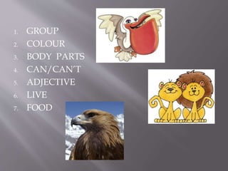 1. GROUP
2. COLOUR
3. BODY PARTS
4. CAN/CAN’T
5. ADJECTIVE
6. LIVE
7. FOOD
 