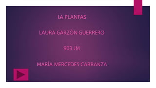LA PLANTAS
LAURA GARZÓN GUERRERO
903 JM
MARÍA MERCEDES CARRANZA
 