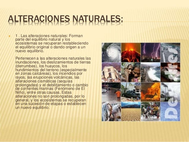 Laura gonzález el suelo y sus alteraciones