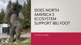 DOES NORTH
AMERICA'S
ECOSYSTEM
SUPPORT BIG FOOT
BY FEREDAY CHIPERE
 