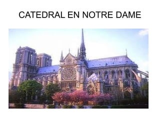 CATEDRAL EN NOTRE DAME
 