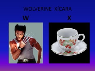 WOLVERINE XÍCARA
W X
 