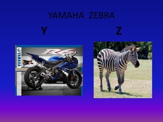 YAMAHA ZEBRA
Y Z
 