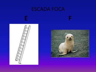 ESCADA FOCA
E F
 