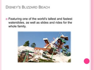 Disney'sBlizzard BeachFeaturing one of the world's tallest and fastest waterslides, as well as slides and rides for the whole family.