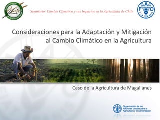 Seminario: Cambio Climático y sus Impactos en la Agricultura de Chile




Consideraciones para la Adaptación y Mitigación
           al Cambio Climático en la Agricultura




                                  Caso de la Agricultura de Magallanes
 