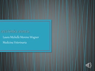 Laura Michelle Moreno Wagner
Medicina Veterinaria
 