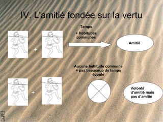 IV. L'amitié fondée sur la vertu + Temps + Habitudes communes Amitié + Aucune habitude commune   + pas beaucoup de temps écoulé Volonté d’amitié mais pas d’amitié 