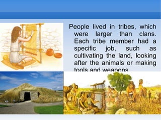People lived in tribes, which were larger than clans. Each tribe member had a specific job, such as cultivating the land, looking after the animals or making tools and weapons. 