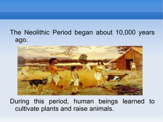 The Neolithic Period began about 10,000 years ago. During this period, human beings learned to cultivate plants and raise animals. 