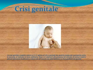 Crisi genitale




La crisi genitale compare intorno al 3°-4° giorno di vita e persiste per qualche tempo per scomparire entro
la seconda, al massimo la terza settimana. Essa è in relazione alla presenza nel neonato di ormoni materni
passati attraverso la placenta e induce sia nei maschi sia nelle femmine un lieve gonfiore dei genitali.
 
