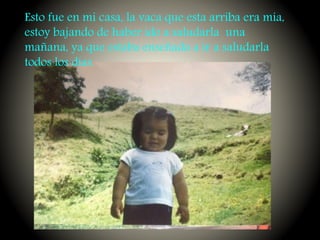 Esto fue en mi casa, la vaca que esta arriba era mía,
estoy bajando de haber ido a saludarla una
mañana, ya que estaba enseñada a ir a saludarla
todos los días.
 