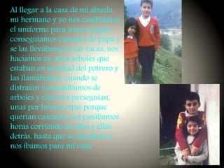 Al llegar a la casa de mi abuela,
mi hermano y yo nos cambiamos
el uniforme para irnos a jugar,
conseguíamos cascaras de papa y
se las llevábamos a las vacas, nos
hacíamos en unos arboles que
estaban en la mitad del potrero y
las llamábamos, cuando se
distraían nos pasábamos de
arboles y ellas nos perseguían,
unas por bravas otras porque
querían cascaras, nos pasábamos
horas corriendo de ellas y ellas
detrás, hasta que se atardecía y
nos íbamos para mi casa.
 